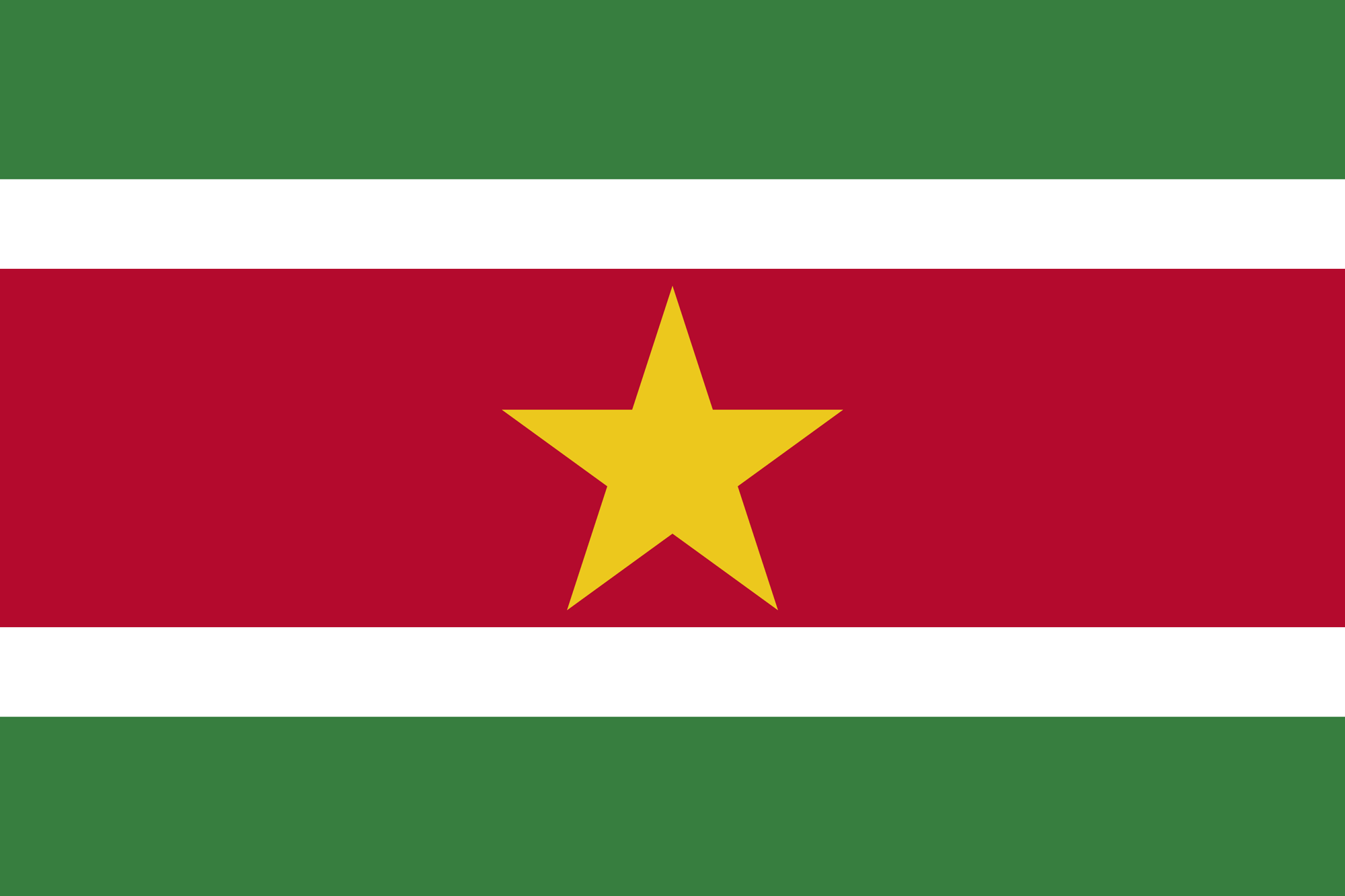 The flag of Suriname.