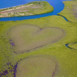 The 'Heart of Voh' is a naturally occurring heart-shaped bog inside a mangrove swamp.