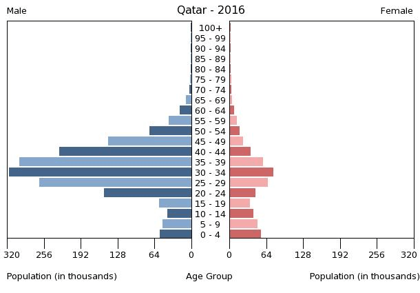 A Population Pyramid of Qatar illustrates the distortion between the sexes. Source: Wikipedia