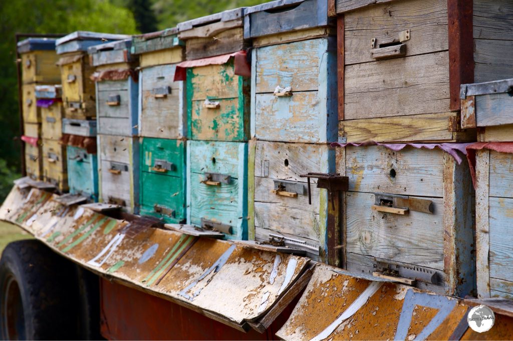 Bee hives at Jeti-Ögüz are kept on the back of trailers which allows them to be easily relocated.