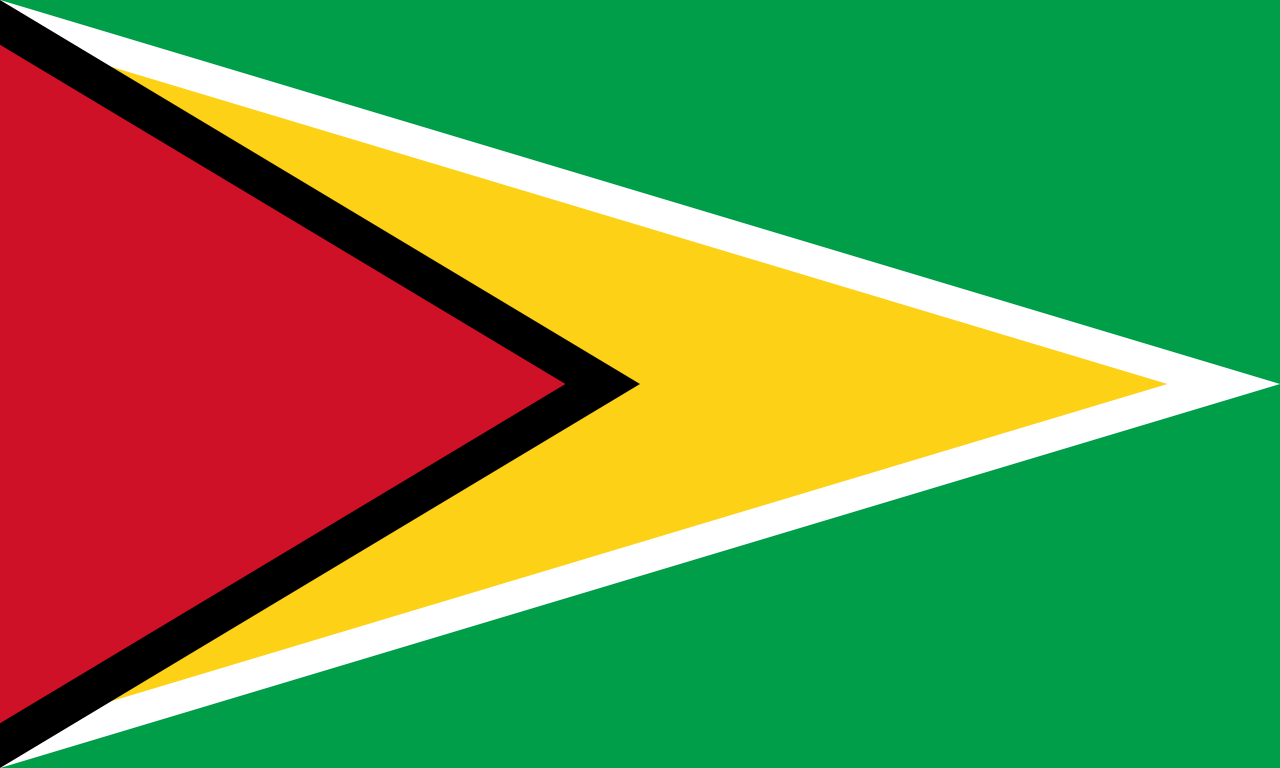 The flag of Guyana.