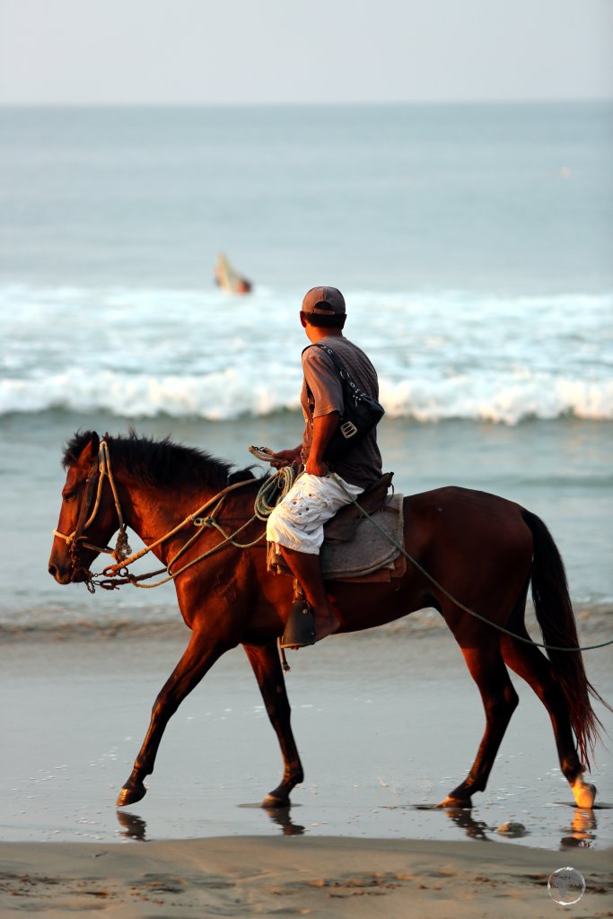 Besides surfing, horse-back riding is another popular activity along the long stretch of sand at Máncora beach.