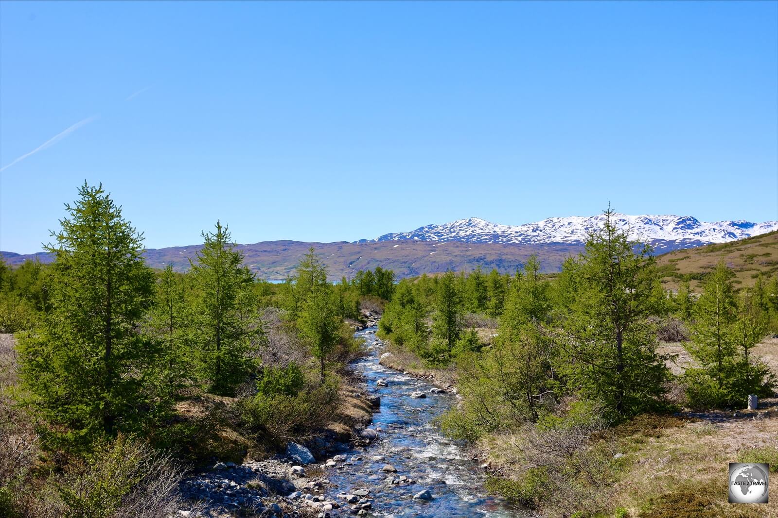 During their stay at Narsarsuaq, the Americans introduced trees to the area - the only trees to be found on Greenland.