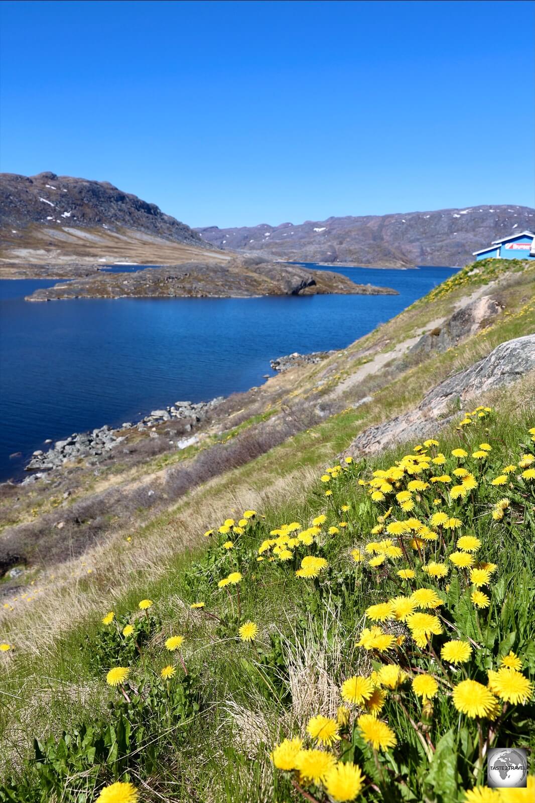 A summertime view of Lake Tasersuaq. 