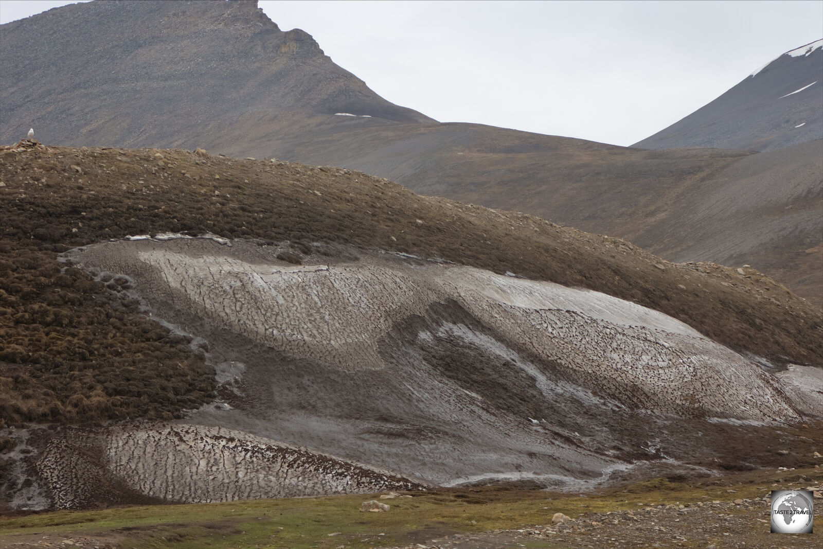 The underlying permafrost is visible in this gully outside of Longyearbyen, 