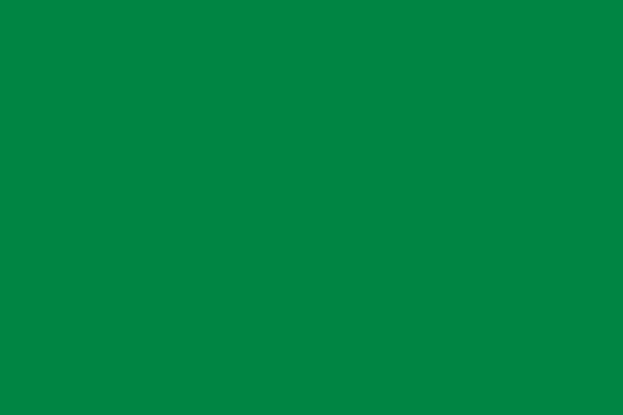 The plain green Libyan flag which was used during the rule of Muammar Gaddafi.