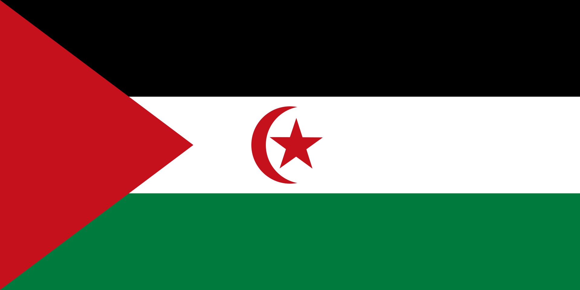 The flag of Western Sahara is never flown in areas controlled by the Moroccan government. 