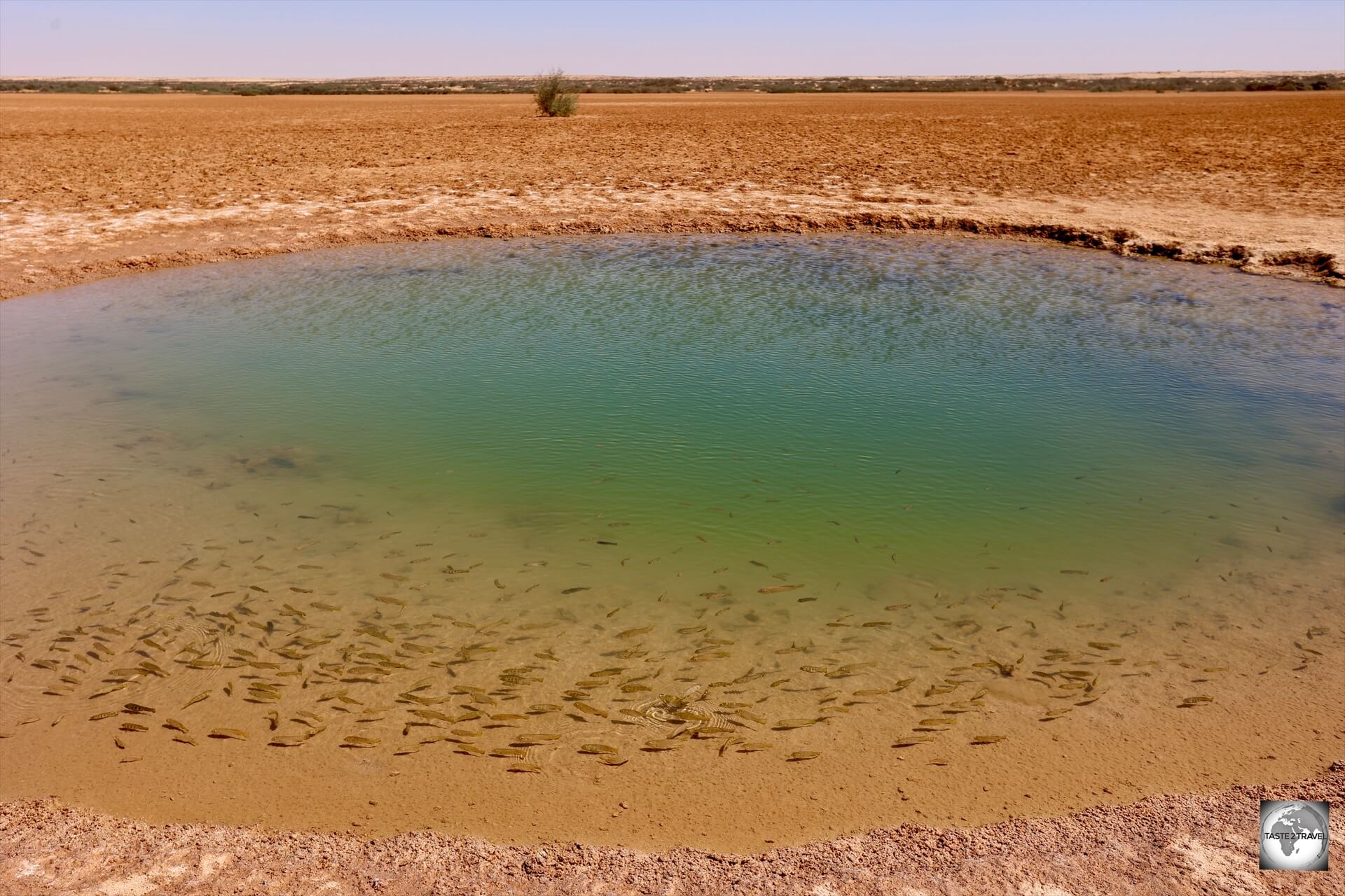 One giant 'fish spa' - the salt water pools at Imlili are inhabited by voracious, carnivorous fish who love eating dead skin. 