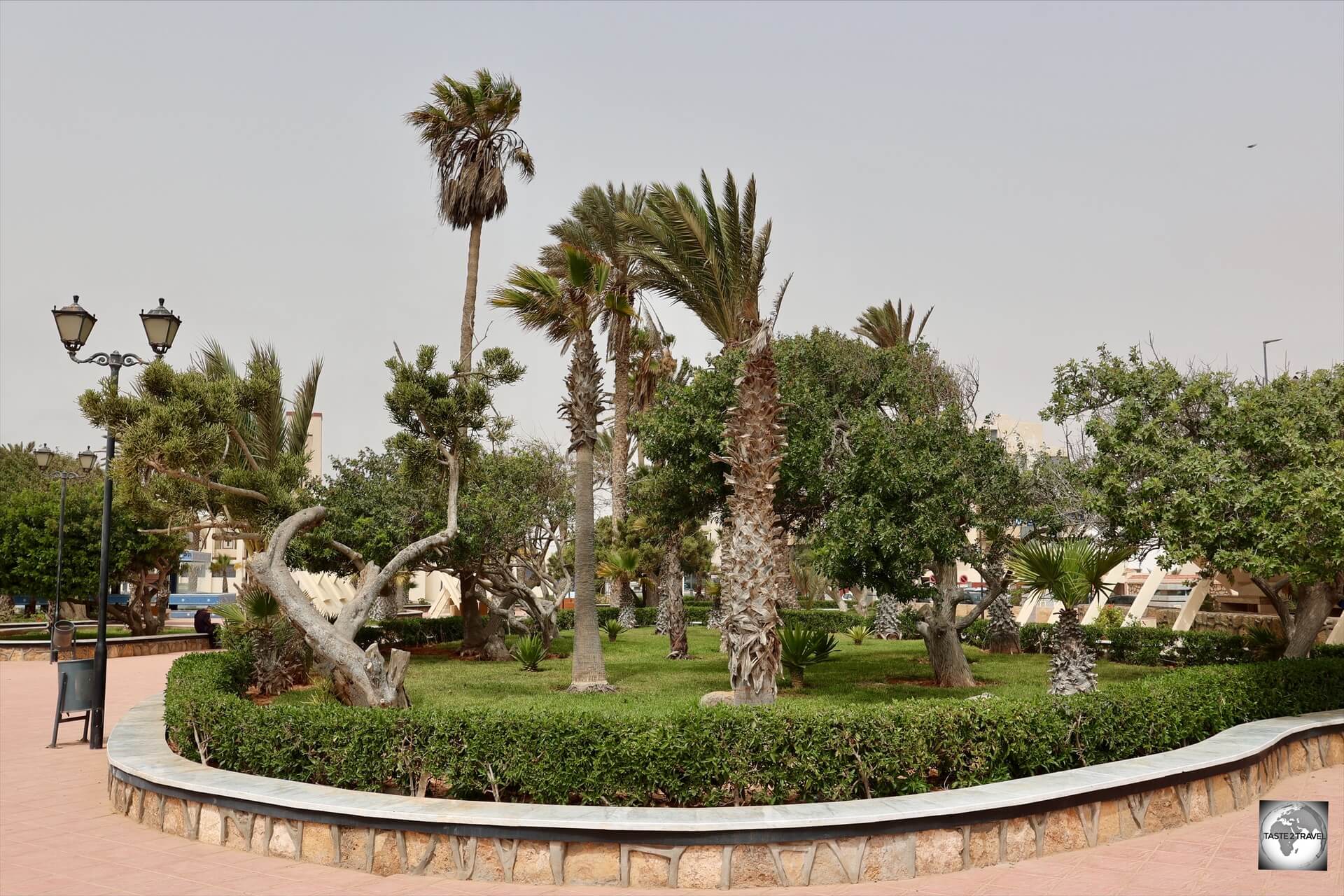 Despite being a desert city, Dakhla is home to many green spaces.