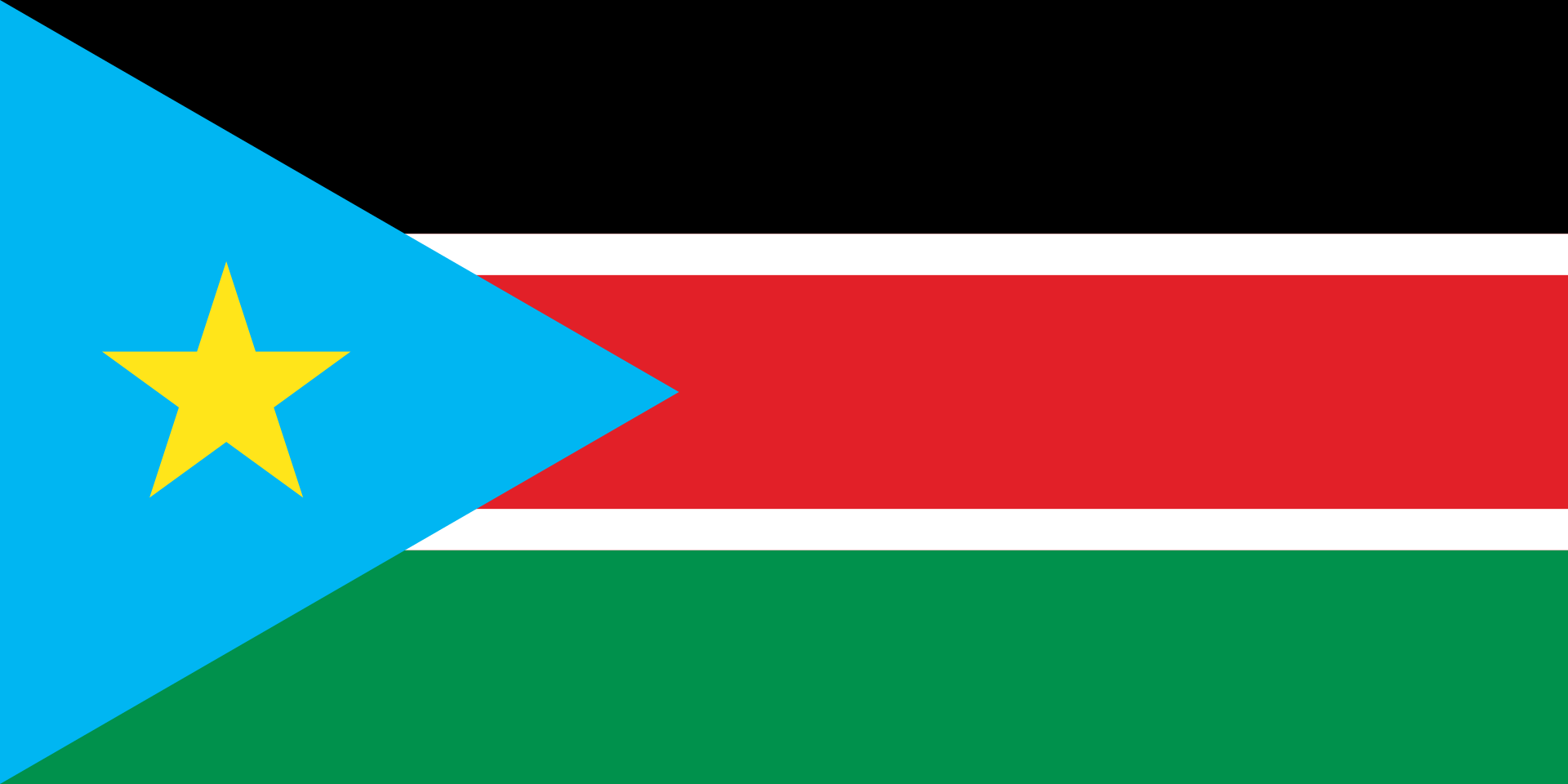 The flag of South Sudan, bearing an upright star.