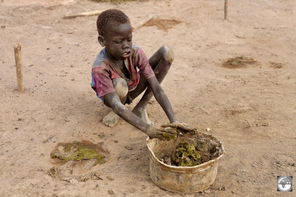 A Mundari boy, gathering fresh cow dung which will be burnt on one of the many camp fires.