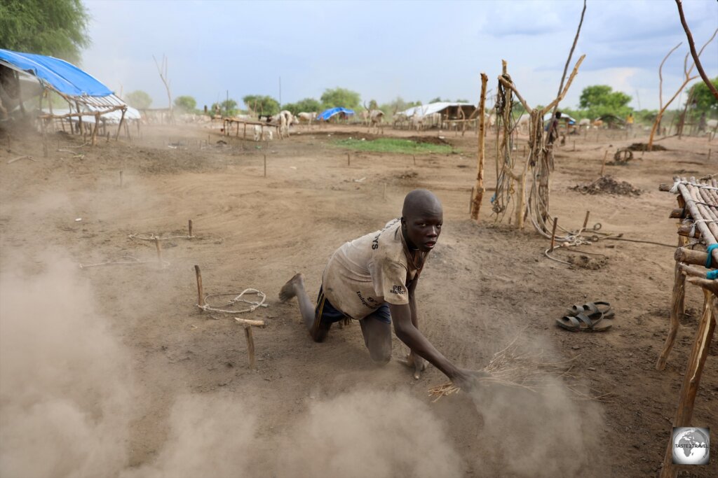 Mundari children and adolescents are responsible for maintaining the cattle camp.