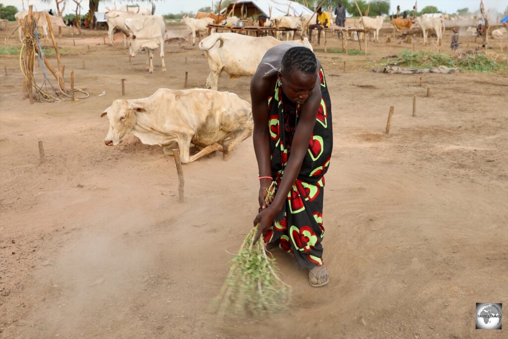 A Mundari girl, sweeping the camp grounds.