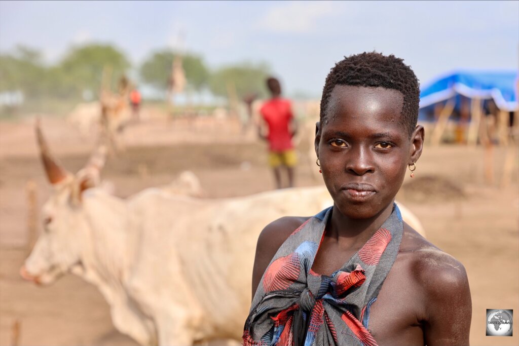 A young Mundari girl, collecting cow dung for the fire.