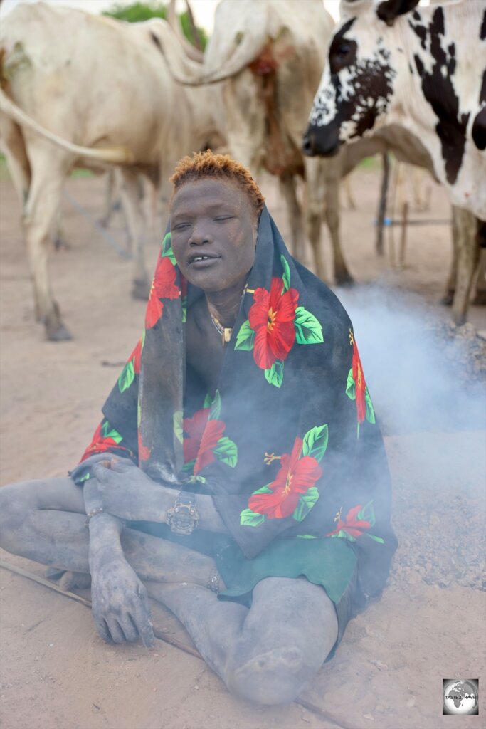 A Mundari cattle herder, sitting among his herd.