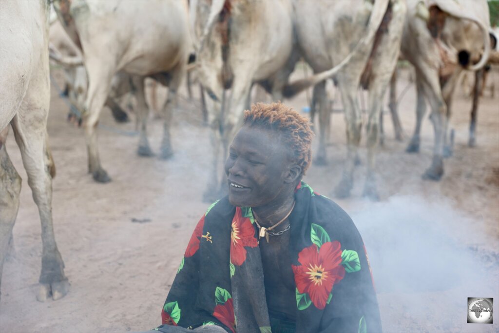 A Mundari cattle herder, sitting among his herd.